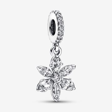 Foto de Charm Pandora Colgante Herbario Brillante