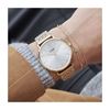 Foto de Reloj Cluse Boho Chic Steel Bicolour mujer CW0101201025