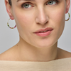 Foto de PENDIENTES LUXENTER DE PLATA DE LEY 925 Y CRISTAL MULTICOLOR ACABADO ORO AMARILLO DE 18K - ANE