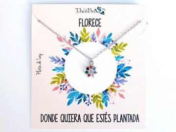 Foto de Collar Plata Primavera