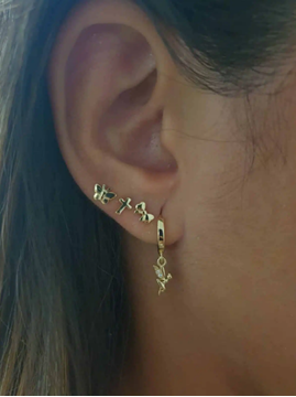 Foto de Pendientes Plata Chapada Hada