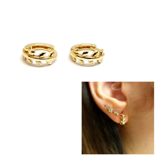 Foto de Pendientes Plata Chapada Natura